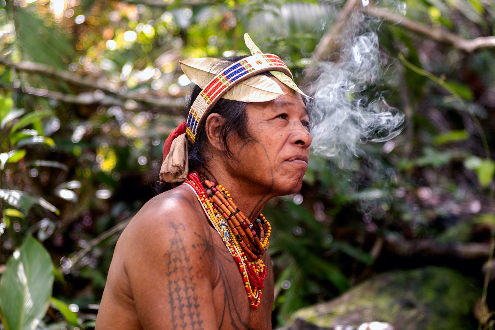 8-Day off the beaten track encounter the Mentawai tribe